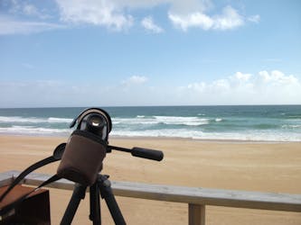 Tour di birdwatching sulle dune di Alvor